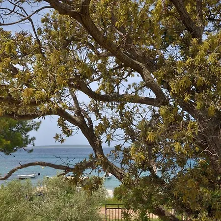 Anica Lejlighed Štivan